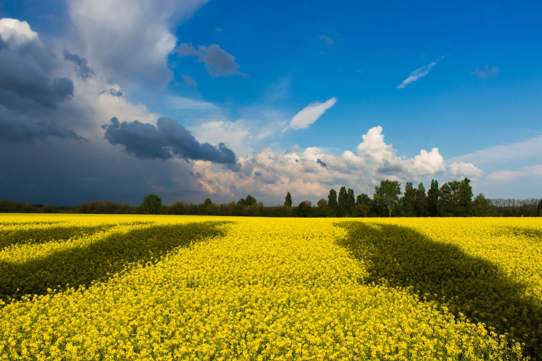 10 Startups Showcase at UK-Ukraine FinTech Summit