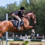 person riding a horse