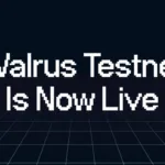 Walrus_Testnet_1729144851krjDdejpZE