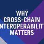 cross-chain interoperabiity