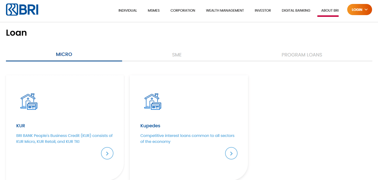 Best Examples of Microfinancing