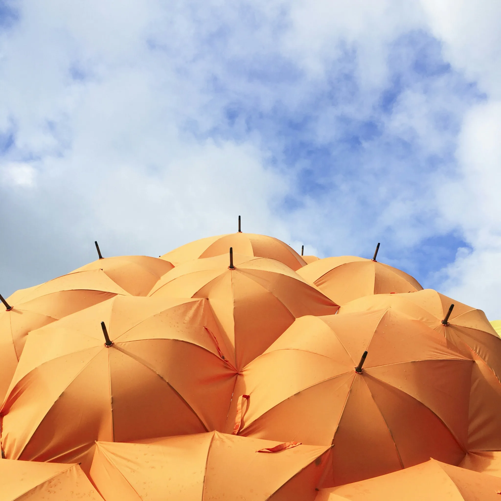 Consumer Protection in Finance: Who Cares?