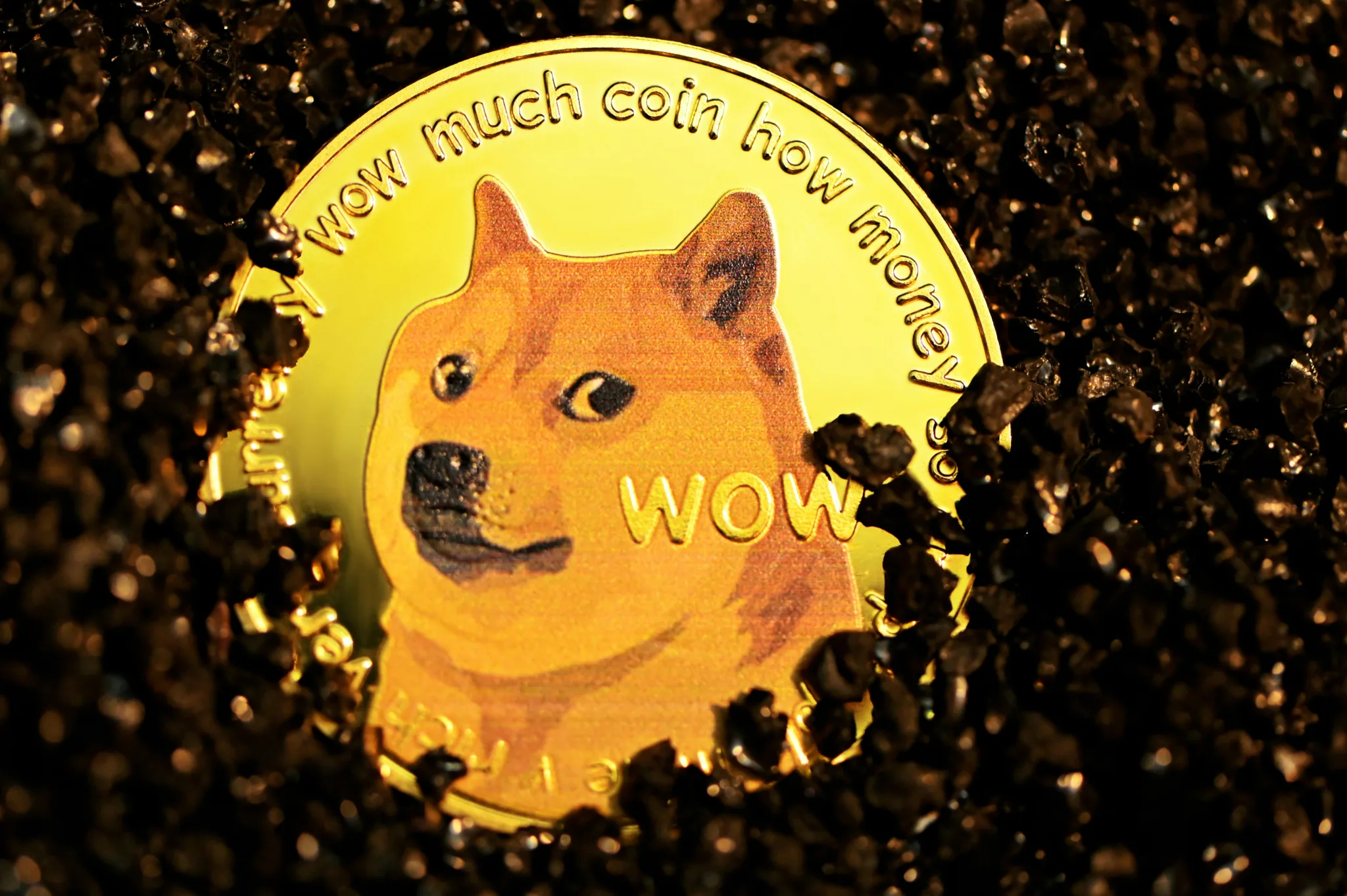 What are Altcoins?
