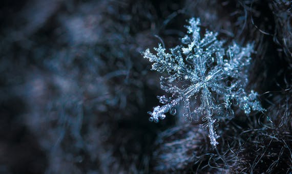 Intricate close-up of a snowflake showcasing its frosty crystalline structure in a winter setting.